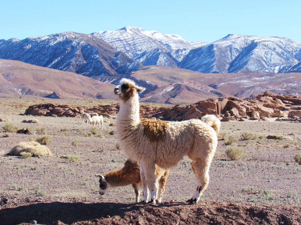 Vale do Arco Íris: Deserto do Atacama
