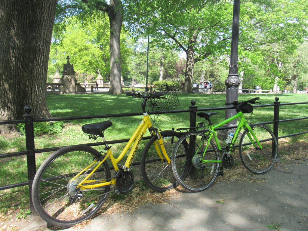 Passeio de bike no Central Park