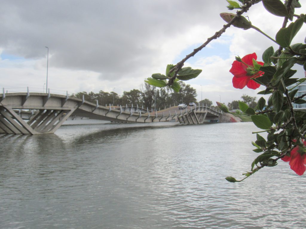 Puente de La Barra Leonel Vieira