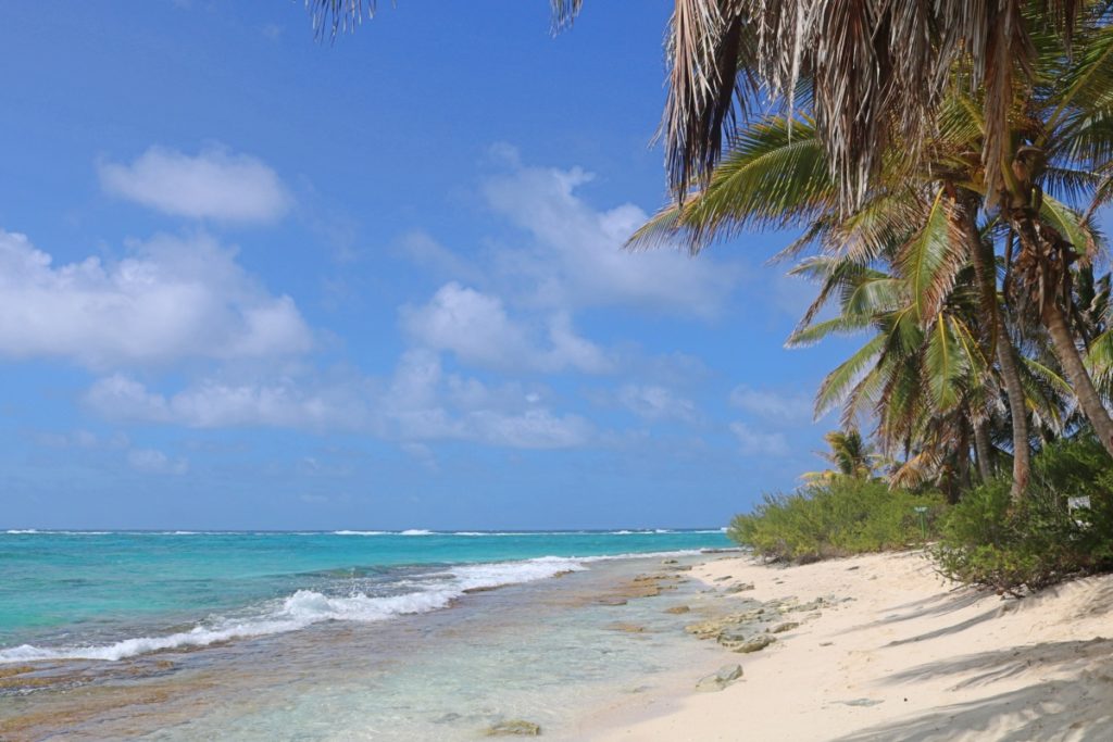 Jhonny Cay &#8211; San Andres