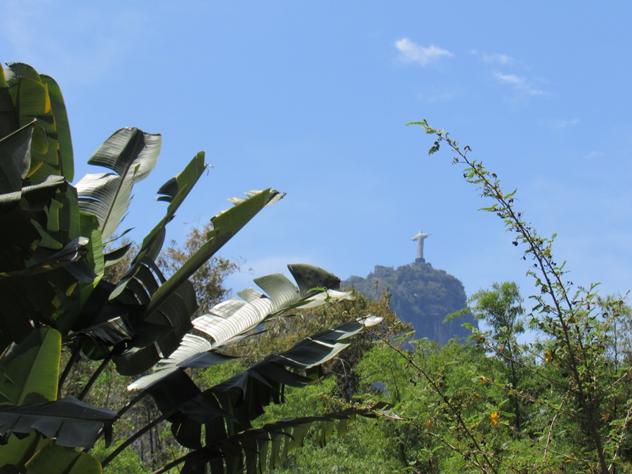 Jardim Botânico do Rio de Janeiro: um passeio imperdível