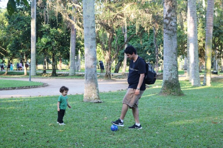Jardim Botânico do Rio de Janeiro: um passeio imperdível - Vivi na Viagem